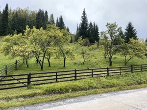 Teren de vânzare in comuna Panaci
