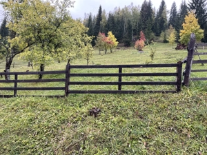 Teren de vânzare in comuna Panaci - imagine 6