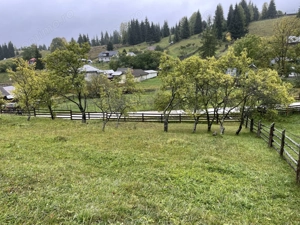 Teren de vânzare in comuna Panaci - imagine 8