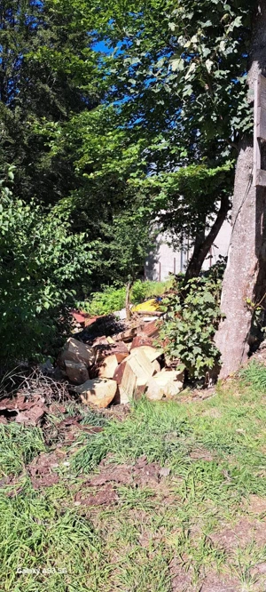 Teren intravilan 493 m  Predeal   zona superba, la 15 min de Brasov - imagine 7