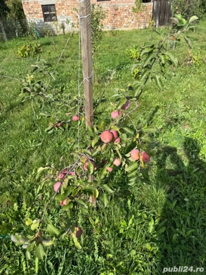 Casa de Vanzare  GORNESTI- Renovata 2025 semifinisata. - imagine 8