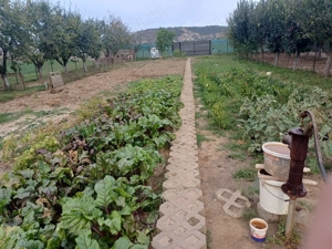 Vând teren  între ape Câmpia Turzii  - imagine 4