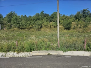 Vând teren intravilan  - imagine 5