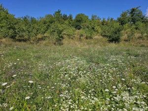 Vând teren intravilan  - imagine 6