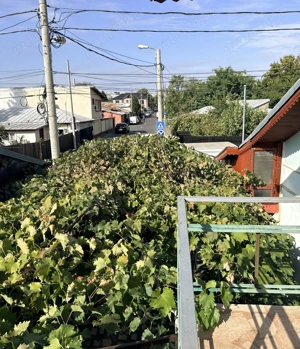 Casă spațioasă cu curte, în zona Sălaj - imagine 7