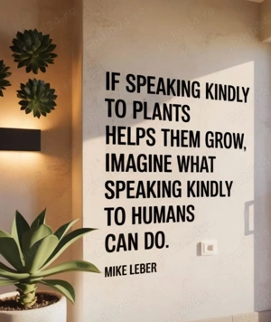 Meditatii la Matematica cls. I-VIII, cu Sicario - imagine 4