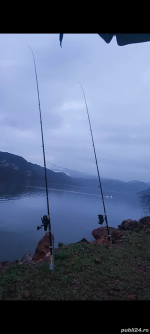 teren dunare ,la 2 km de Svinita  - imagine 7