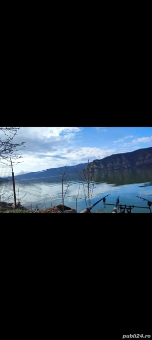 teren dunare ,la 2 km de Svinita  - imagine 6