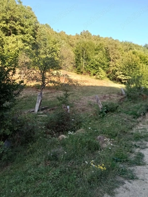 Vând teren in parcele de 20 de ari