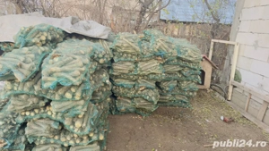 Hrean nespălat   proaspăt, en-gros 