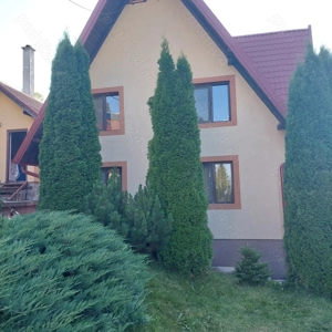 Proprietar, vind casa in Vatra Dornei - imagine 3