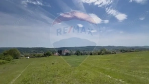 Fost Conac cu padure si teren 54h - imagine 5