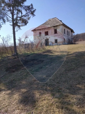 Fost Conac cu padure si teren 54h - imagine 4