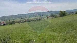 Fost Conac cu padure si teren 54h - imagine 6