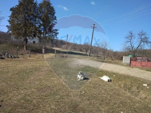 Fost Conac cu padure si teren 54h - imagine 3