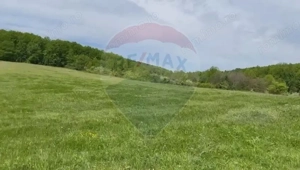 Fost Conac cu padure si teren 54h - imagine 14