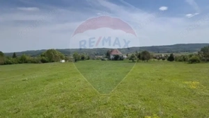 Fost Conac cu padure si teren 54h - imagine 12