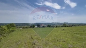 Fost Conac cu padure si teren 54h - imagine 11