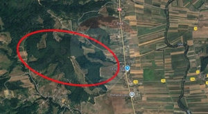 Fost Conac cu padure si teren 54h - imagine 15