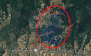 Fost Conac cu padure si teren 54h - imagine 16