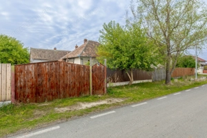 Casă spatioasa in Pancota ideala pentru doua familii - imagine 2