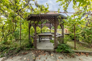 Casă spatioasa in Pancota ideala pentru doua familii - imagine 20