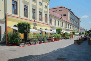 De vânzare — Spațiu comercial parter 409 mp, Vasile Alecsandri - imagine 11