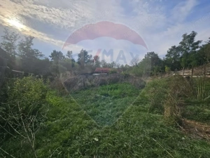 Casa de vanzare - imagine 10 Casa de vanzare - imagine 10