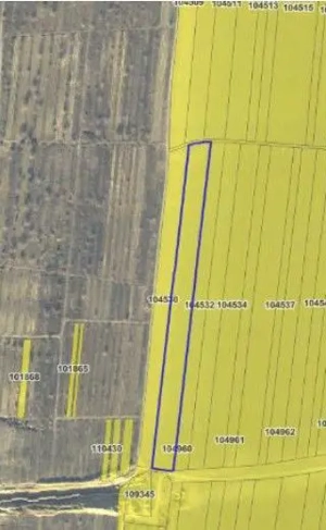 Teren extravilan cota 3/32 Smardan, ID: R2763204 - imagine 6