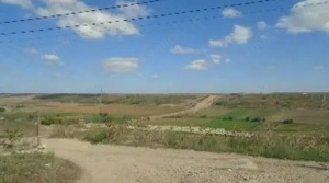 Teren extravilan cota 3/32 Smardan, ID: R2763204 - imagine 9