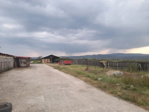 Ferma de închiriat   teren 21.000 mp, utilități complete pt activitate agricola si sau logistica - imagine 2
