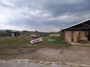 Ferma de închiriat   teren 21.000 mp, utilități complete pt activitate agricola si sau logistica - imagine 3