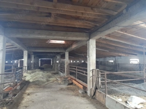 Ferma de închiriat   teren 21.000 mp, utilități complete pt activitate agricola si sau logistica - imagine 9