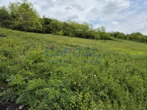 Oportunitate de investitie! Teren extravilan 11 400 mp, Apahida - imagine 2