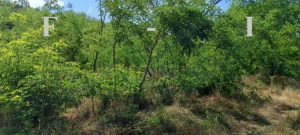 Apartament 2 camere Etaj 1 Vlaicu - imagine 8