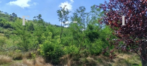 Apartament 2 camere Etaj 1 Vlaicu - imagine 5