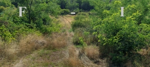 Apartament 2 camere Etaj 1 Vlaicu - imagine 9