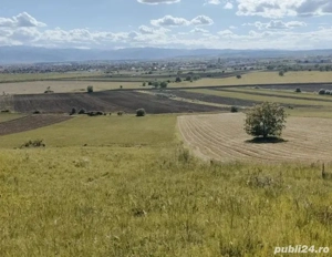 arendam teren agricol 