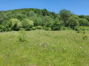 Oportunitate deosebită în Bisericani, Alexandru cel Bun - Neamt! - imagine 2