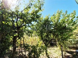 Casa de vanzare in Dancu - imagine 12