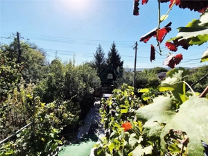 Casa de vanzare in Dancu - imagine 2