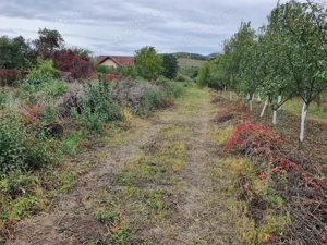 Teren intravilan, Goranu-Lespezi - imagine 3