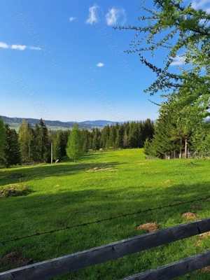 Vînd teren 30000m2 Sarul Dornei