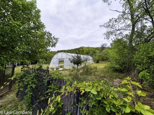 Casa , teren intravilan Valea Mare Stefanesti Arges - imagine 4