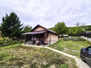 Casa , teren intravilan Valea Mare Stefanesti Arges - imagine 2