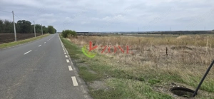 TEREN BRANESTI pentru  MICA DEZVOLTARE IMOBILIARA. - imagine 5