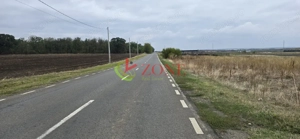 TEREN BRANESTI pentru  MICA DEZVOLTARE IMOBILIARA. - imagine 6