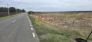 TEREN BRANESTI pentru  MICA DEZVOLTARE IMOBILIARA. - imagine 4