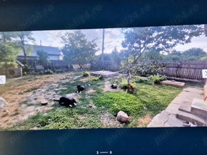 Vand casa si teren in Constanta - imagine 7