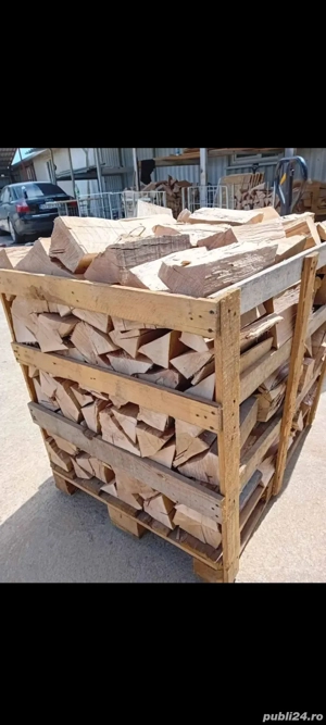 Vînd Lemne de foc USCATE Stejar Fag Paletat 
